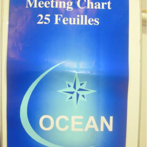 Bloc papier pour chevalet Meeting Chart OCEAN 25 Feuilles
