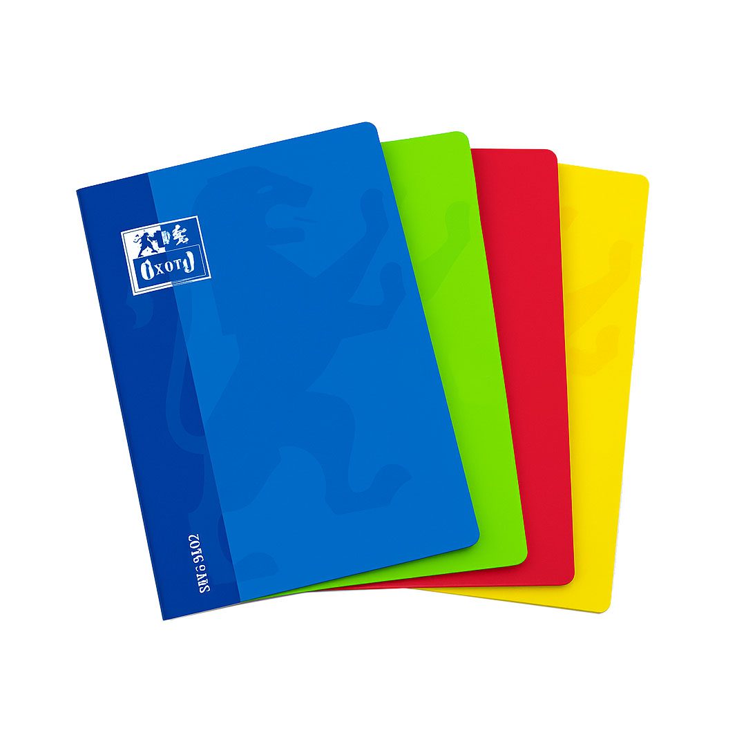 CAHIER A SPIRAL OXFORD 100 Page GRAND Carreaux Couleurs assorties (100103584)