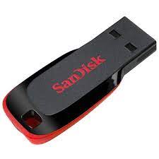 Clé USB SanDisk Cruzer Blade USB 2.0 - 32 Go (SDCZ50-032G-B35)