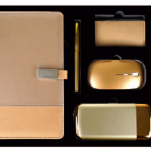 Coffret Agenda VIP 16×22 cm en similicuir avec Power-Bank et 6 Accessoires Complets coloris au choix