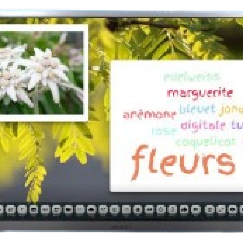 Écran Intéractif 4K Accent Smartboard 2GB/16GB 65″ 3840×2160 – 60Hz 16:9 – 20 Points de contact