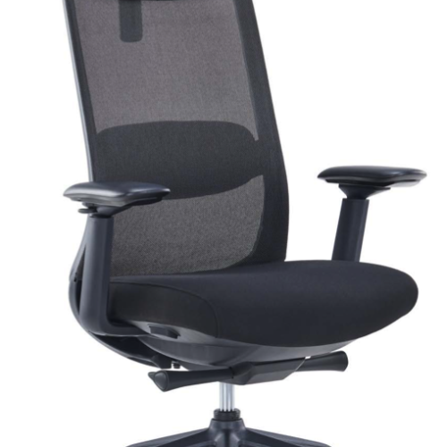 Fauteuil ergonomique kwesk GAMMA 150 – Appuie-tête 2D soutien lombaire réglable et accoudoirs 3D Noir