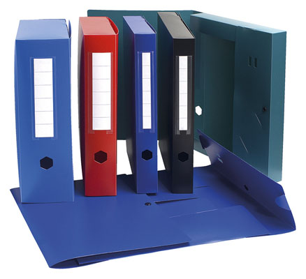 Lot de 10 Boîtes d'archives à pression EXACOMPTA en Polypro Dos 80 mm (Coul Assorties)