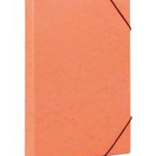 Lot de 10 Chemises-boites SICLA en carte lustrée Dos:4cm