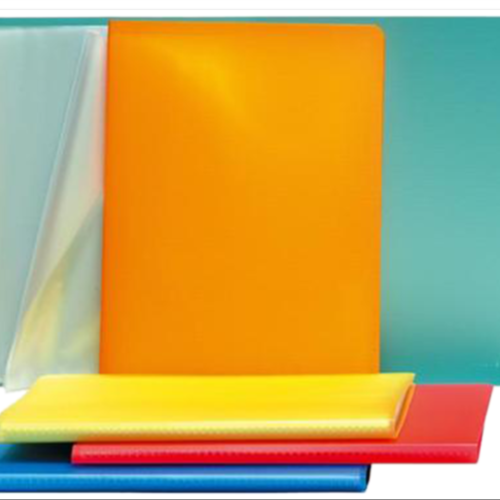 Lot de 12 porte-vues DELI 10 pochettes 20 vues en polypro A4 Col au choix