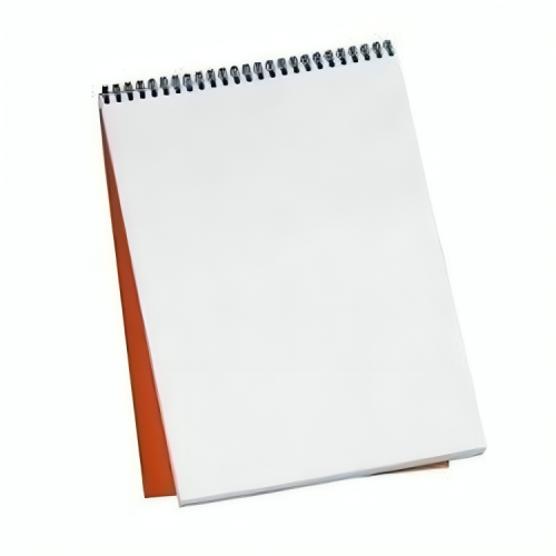 Lot de 5 Bloc-notes spiral POINT DE MIRE Format A5