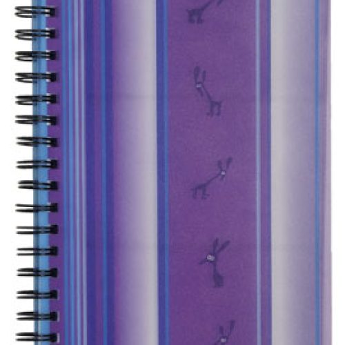 Lot de 6 Reliures à spirales INKA pour 96 Cartes de visites