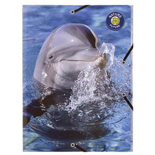 Paquet de 10 Chemises à élastiques FANTAISIES 3 rabats 24×32