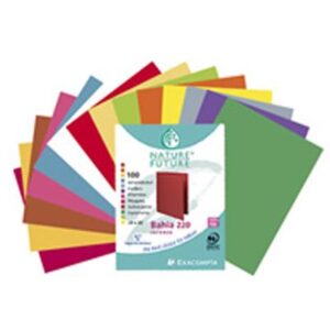 Paquet de 100 Chemises BAHIA 220g/m² teintes vives intenses (Assorties)