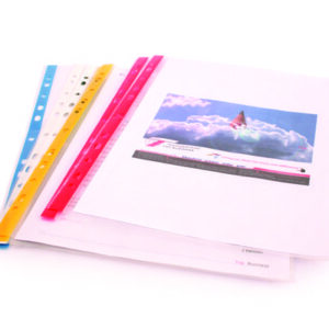 Paquet de 100 Pochettes perforées ALPHA A4 (onglets 5 coloris au choix)