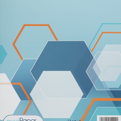 Paquet de 250 Sous chemises Maestro Mi-Fin multicolores 21 x 31 cm 50 g/m²