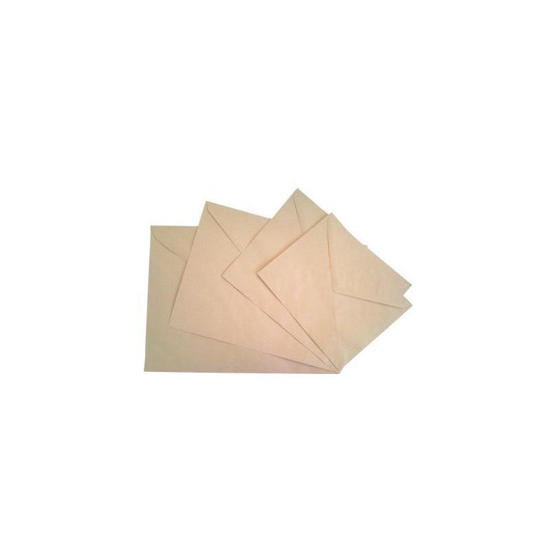 250 Enveloppes Kraft 72g/m² format 90 (275x410 mm)
