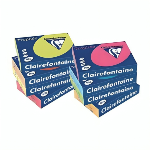 Lot de 4 Ramettes papier couleur TROPHEE A4 160g/m² 250F Coloris au choix