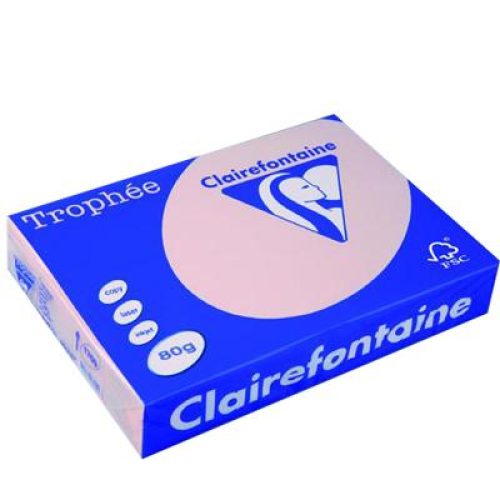 Lot de 5 Ramettes papier couleur TROPHEE A4 80g/m² 500 feuilles Coloris au choix